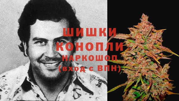 спиды Лагань