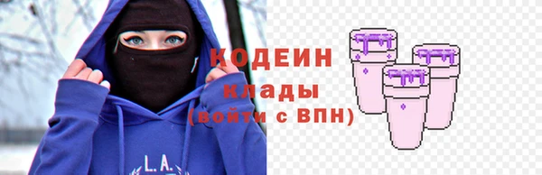 спиды Лагань